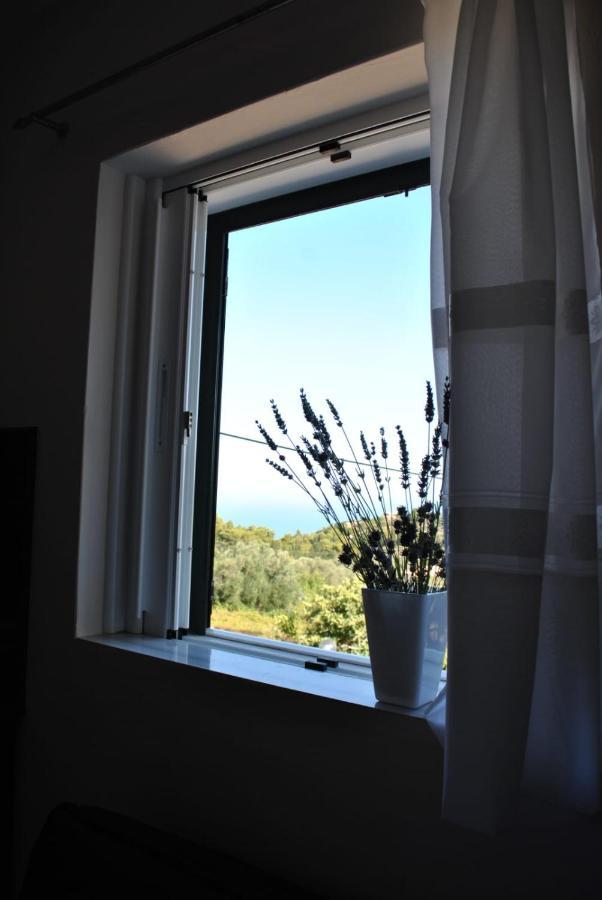 Monika Lefkada Otel Tsoukaládhes Dış mekan fotoğraf