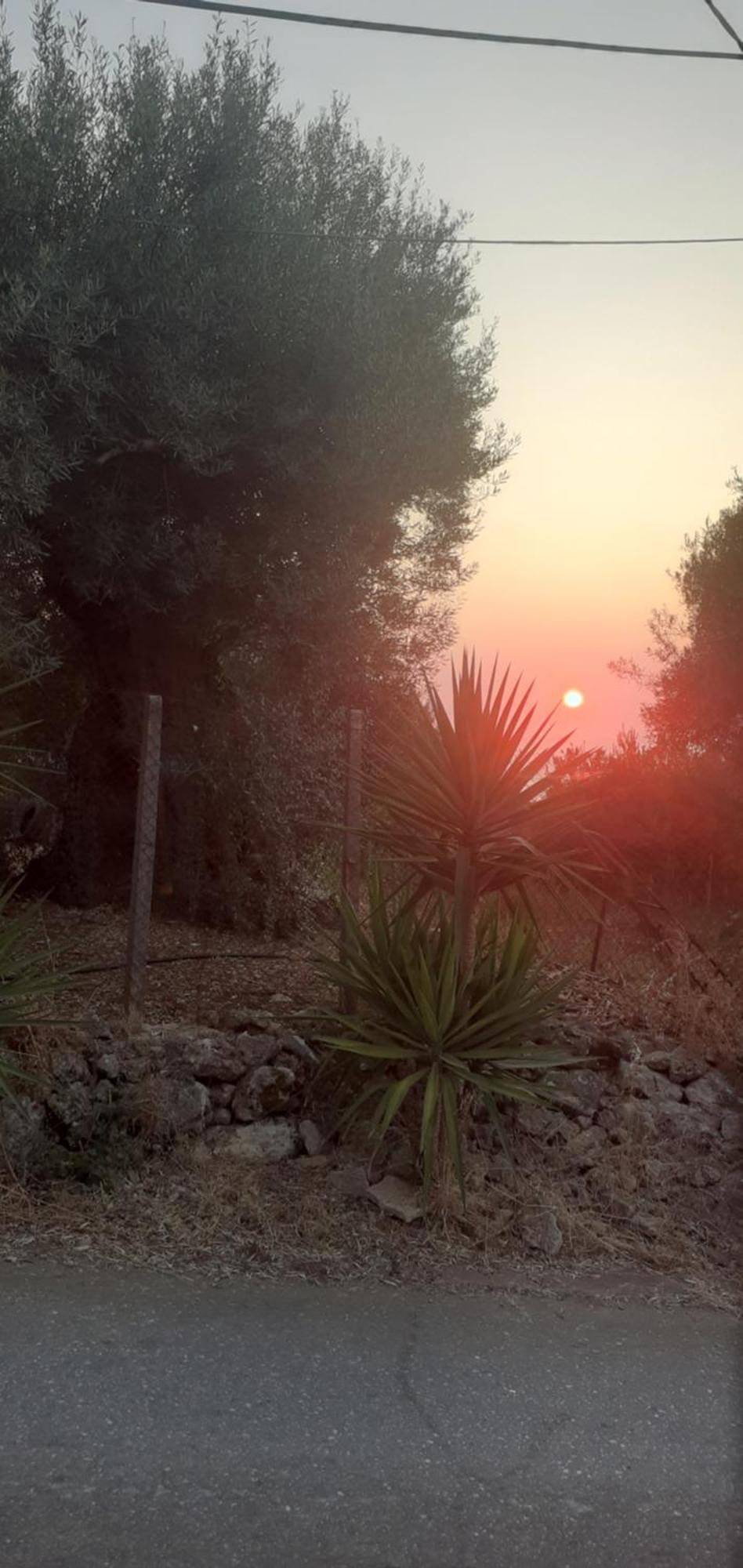Monika Lefkada Otel Tsoukaládhes Dış mekan fotoğraf